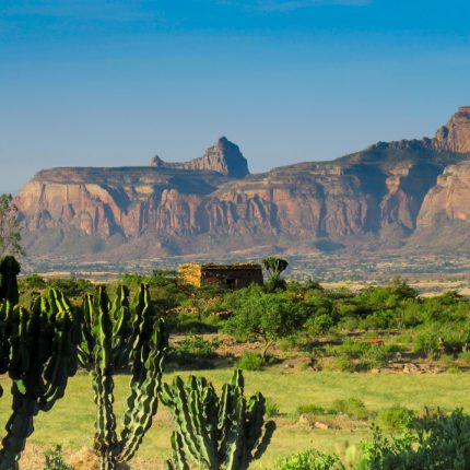 Five Day Tigray and Axum Tour